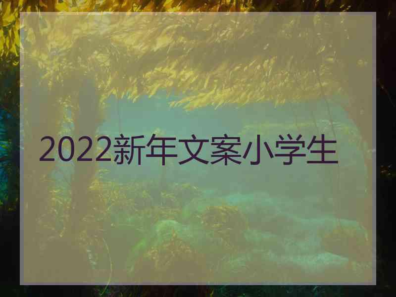 2022新年文案小学生