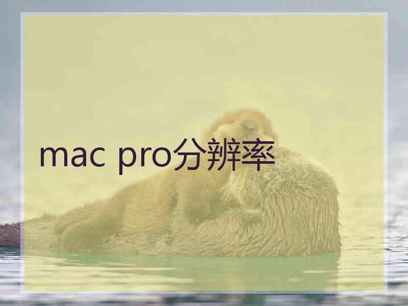 mac pro分辨率