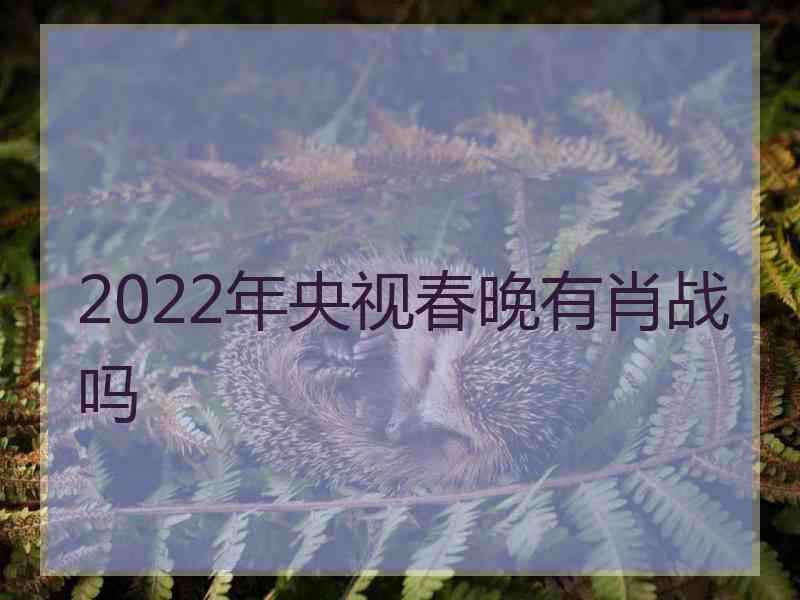 2022年央视春晚有肖战吗