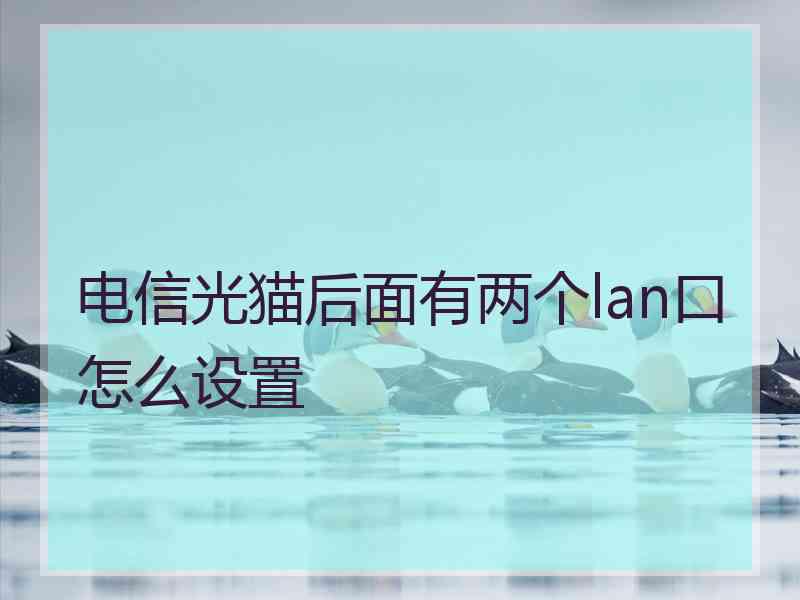 电信光猫后面有两个lan口怎么设置