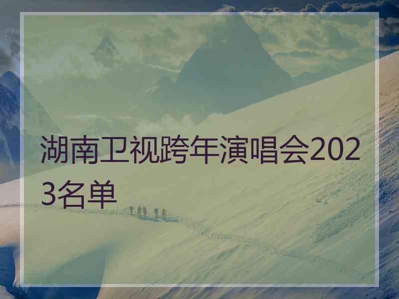 湖南卫视跨年演唱会2023名单