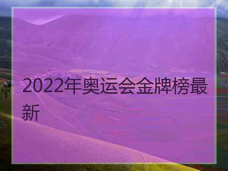 2022年奥运会金牌榜最新