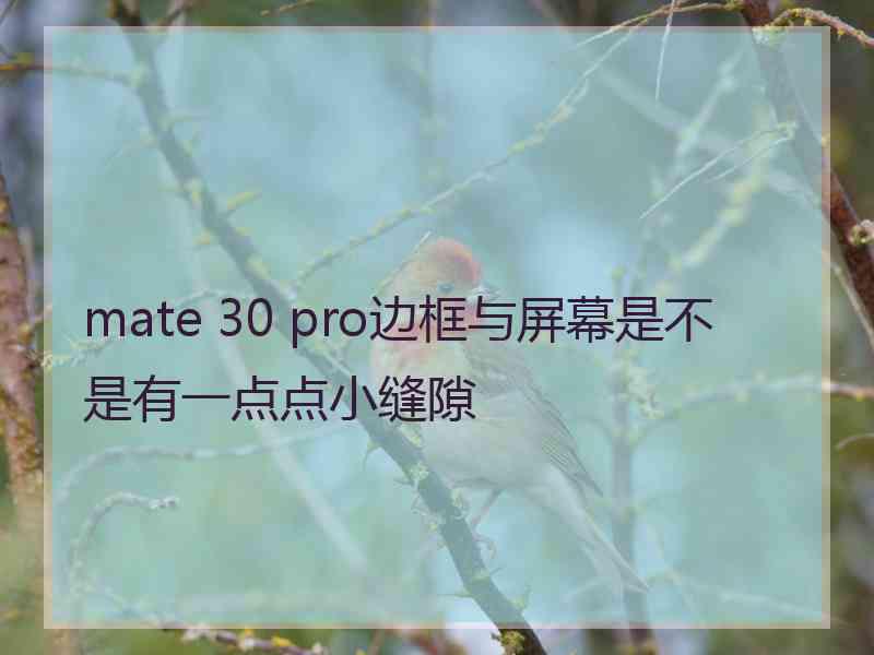 mate 30 pro边框与屏幕是不是有一点点小缝隙