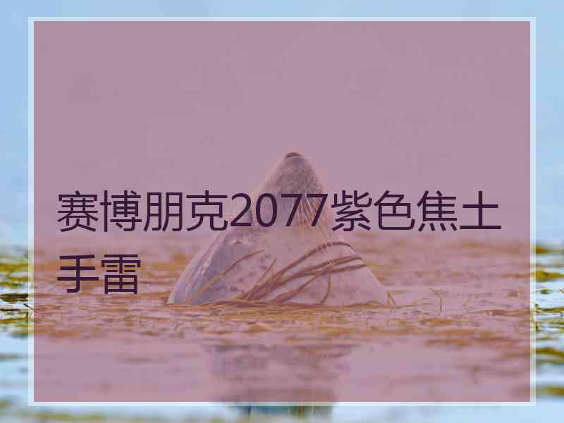 赛博朋克2077紫色焦土手雷