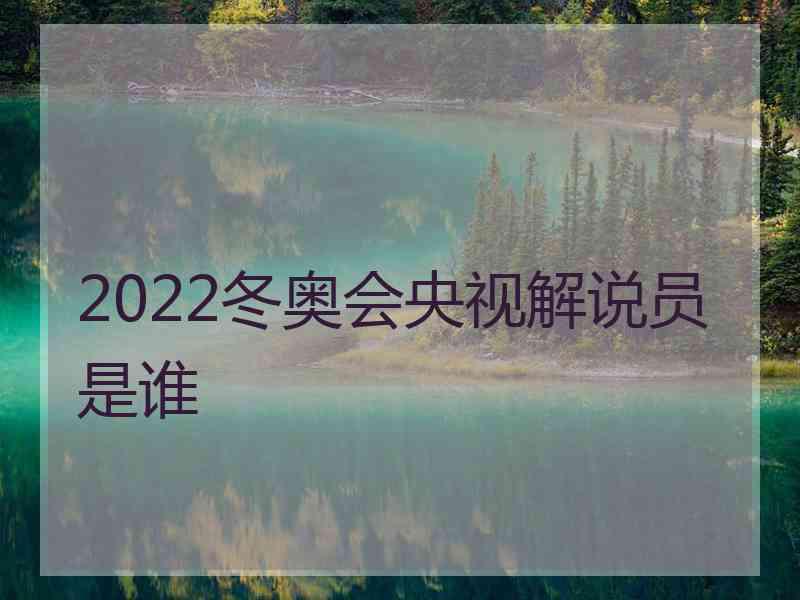 2022冬奥会央视解说员是谁