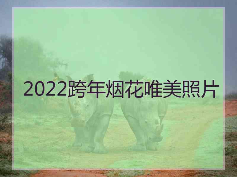 2022跨年烟花唯美照片