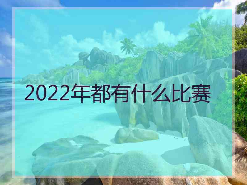 2022年都有什么比赛