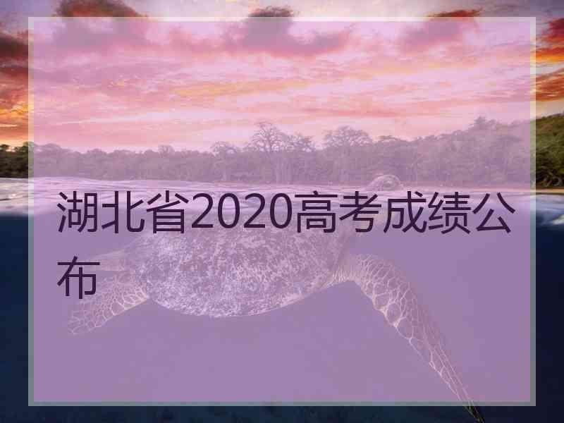 湖北省2020高考成绩公布