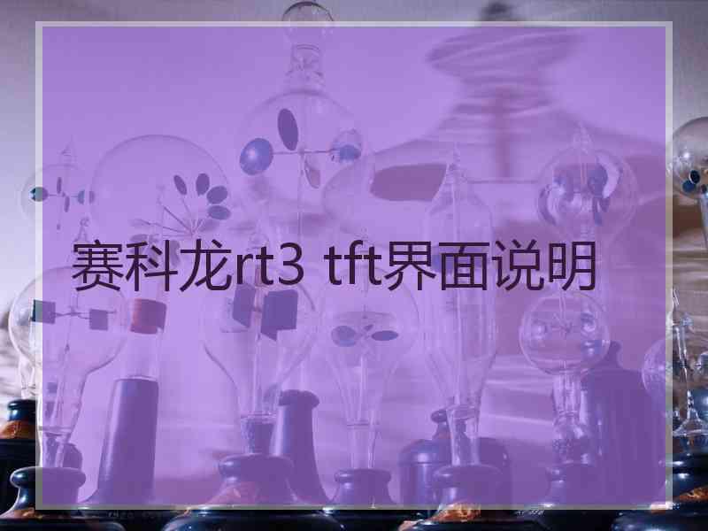 赛科龙rt3 tft界面说明