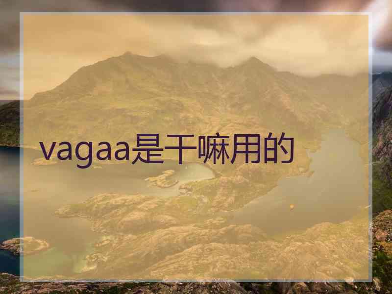 vagaa是干嘛用的