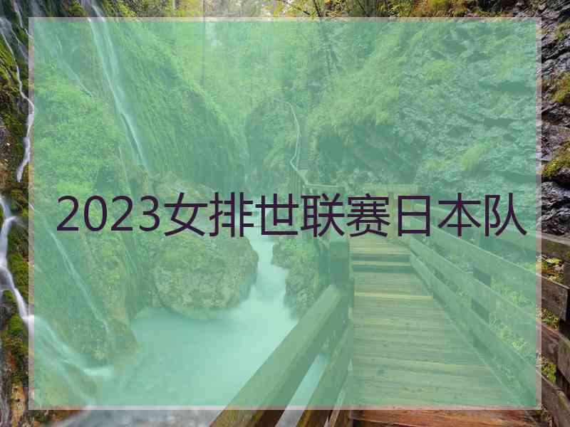 2023女排世联赛日本队