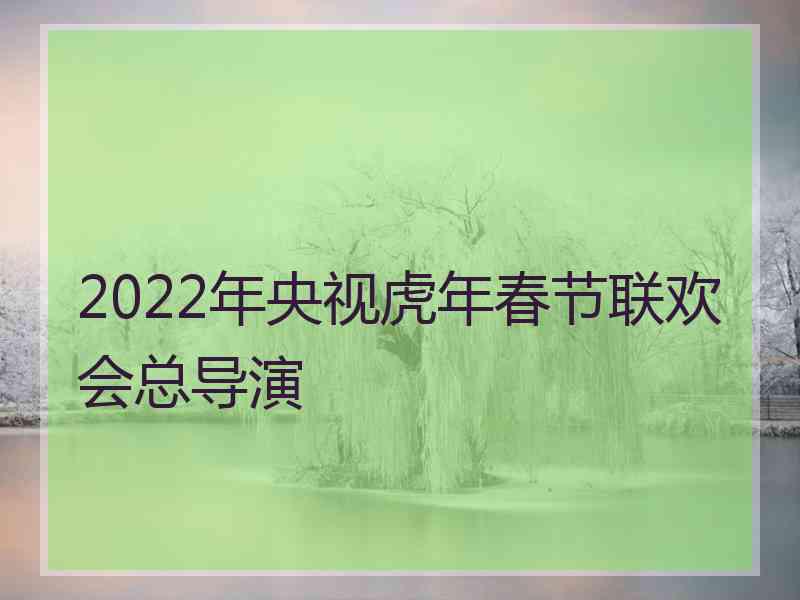 2022年央视虎年春节联欢会总导演