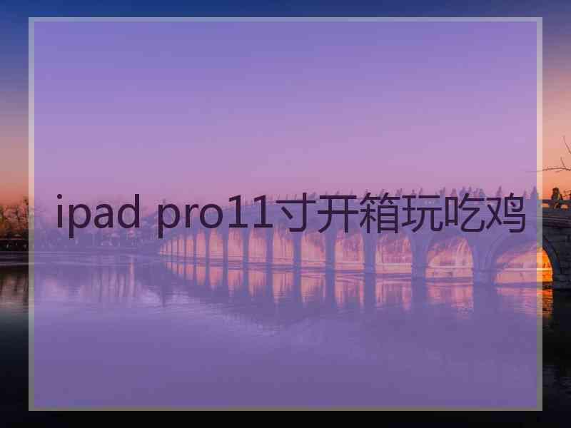 ipad pro11寸开箱玩吃鸡