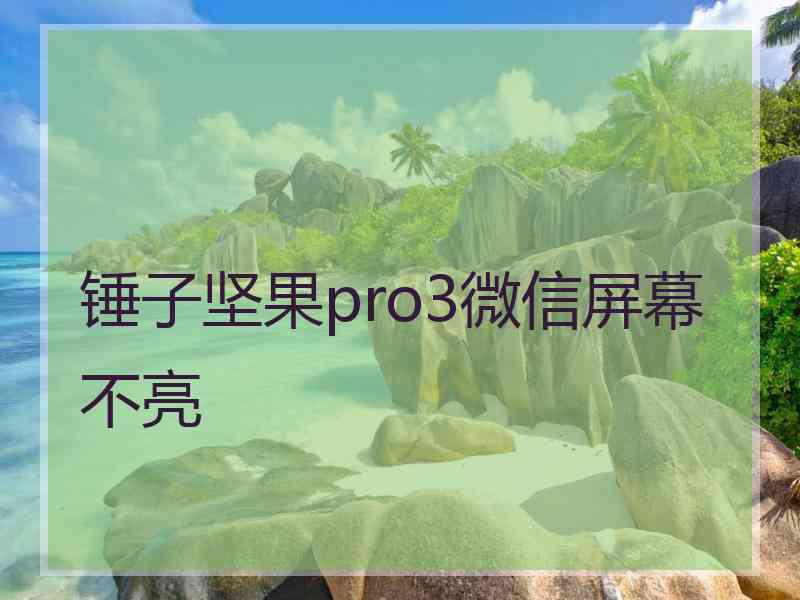 锤子坚果pro3微信屏幕不亮