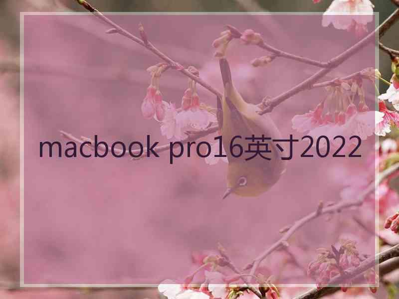 macbook pro16英寸2022