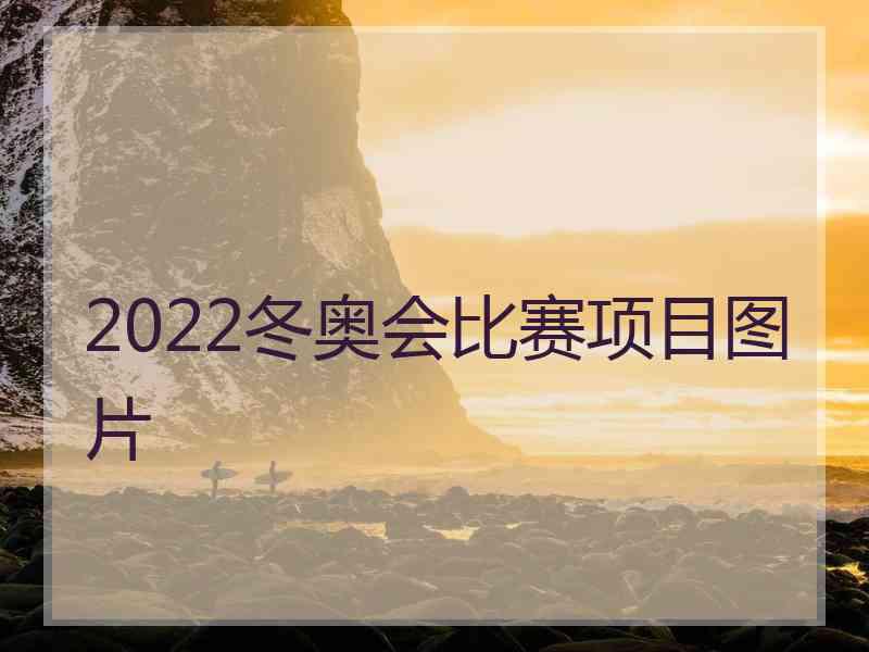 2022冬奥会比赛项目图片