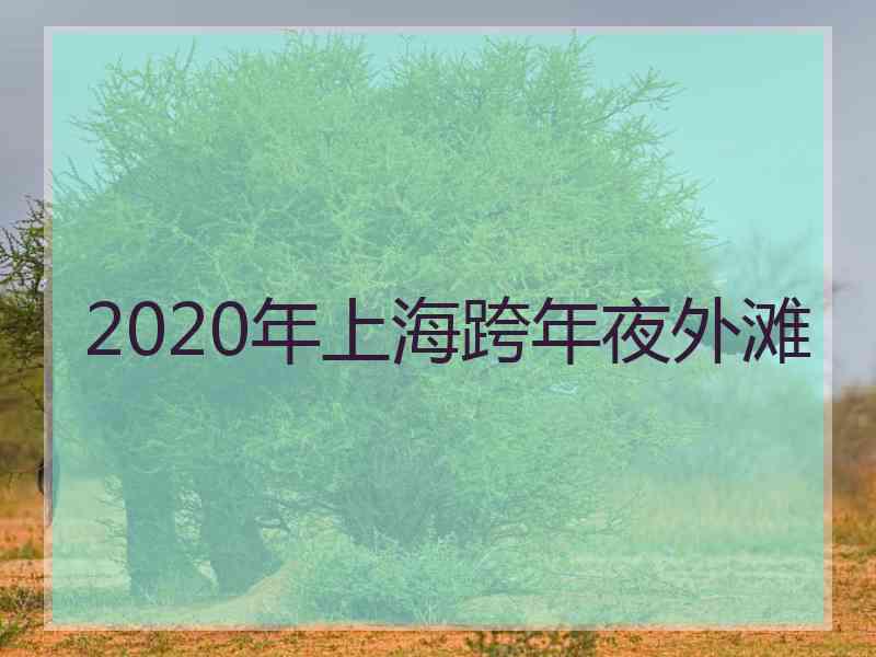 2020年上海跨年夜外滩