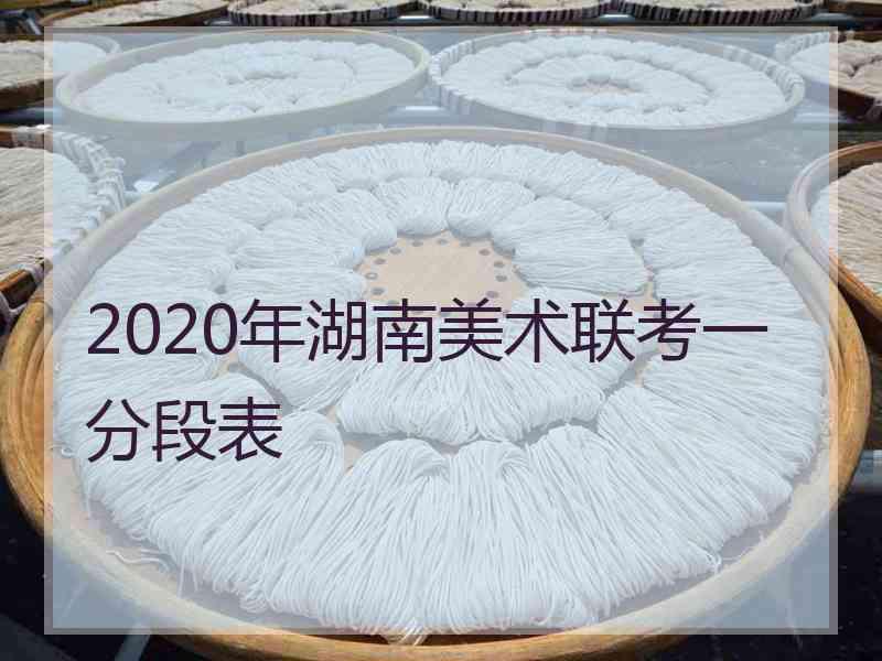 2020年湖南美术联考一分段表