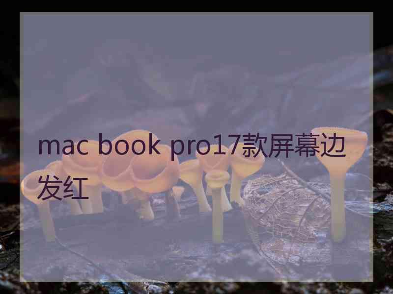 mac book pro17款屏幕边发红