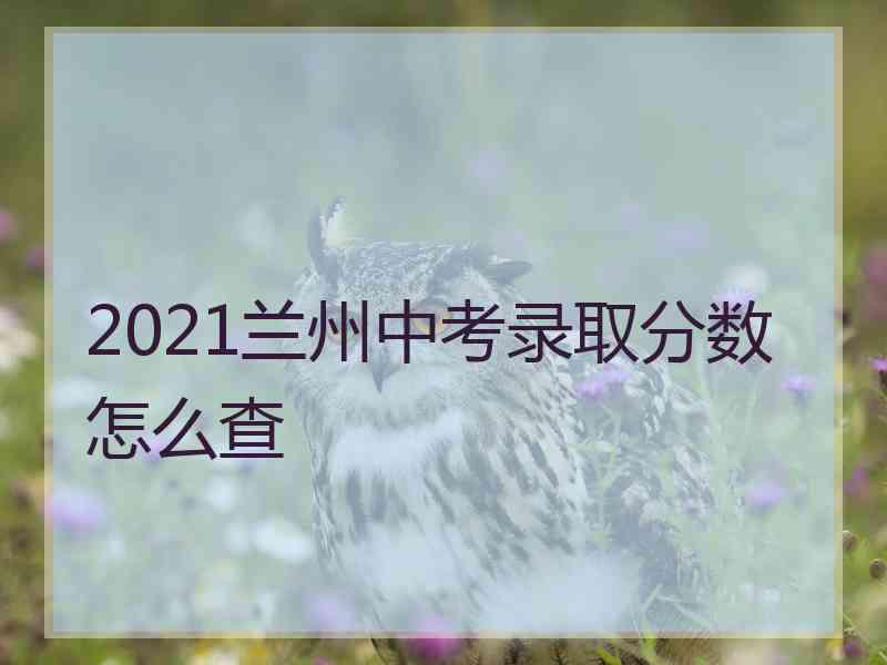 2021兰州中考录取分数怎么查