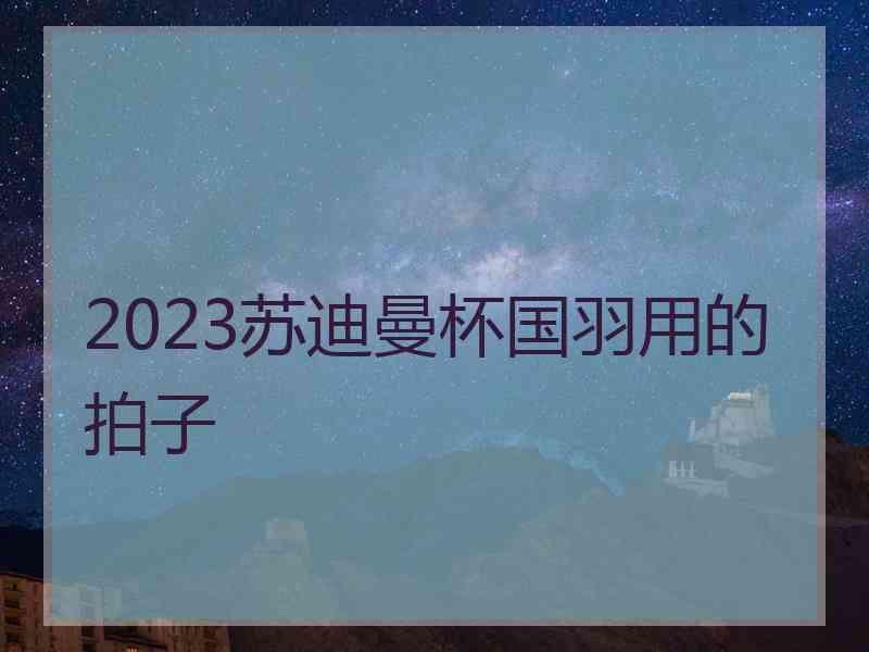 2023苏迪曼杯国羽用的拍子