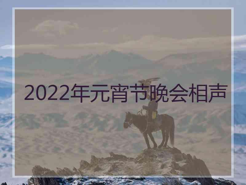 2022年元宵节晚会相声