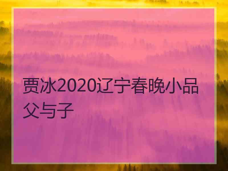 贾冰2020辽宁春晚小品父与子