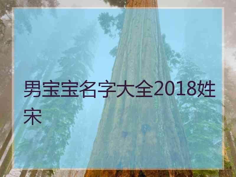 男宝宝名字大全2018姓宋