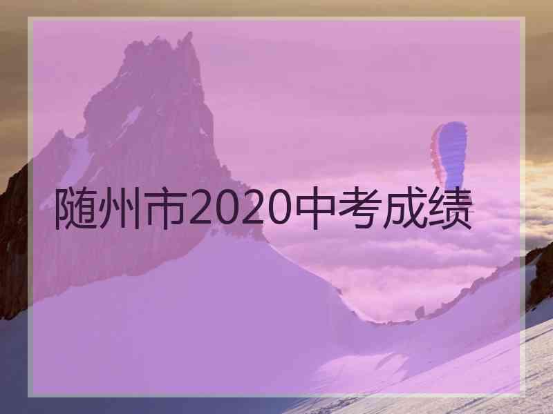 随州市2020中考成绩