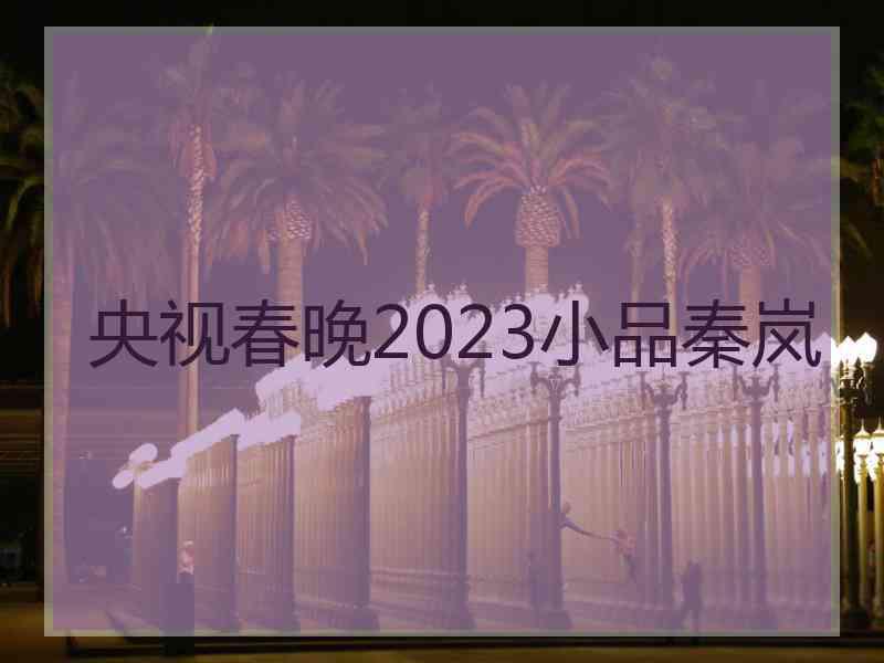 央视春晚2023小品秦岚