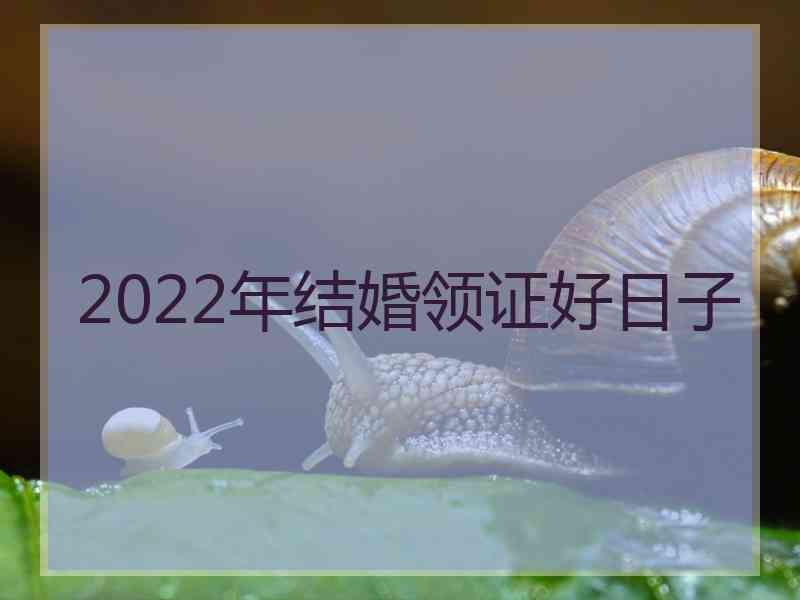 2022年结婚领证好日子