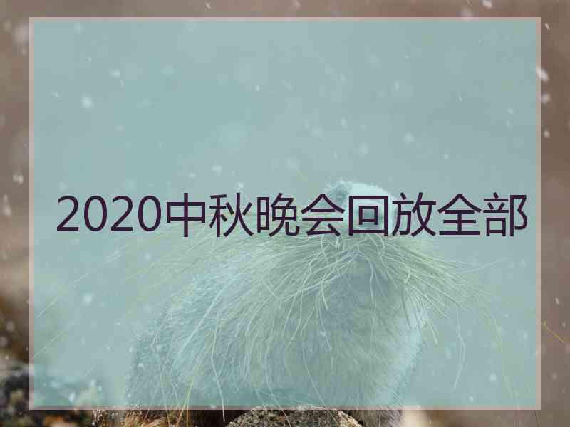 2020中秋晚会回放全部