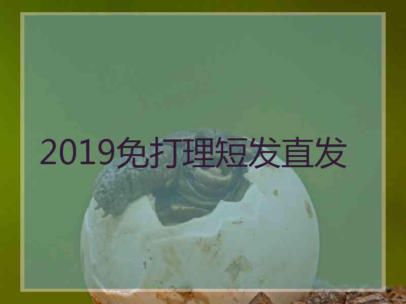 2019免打理短发直发