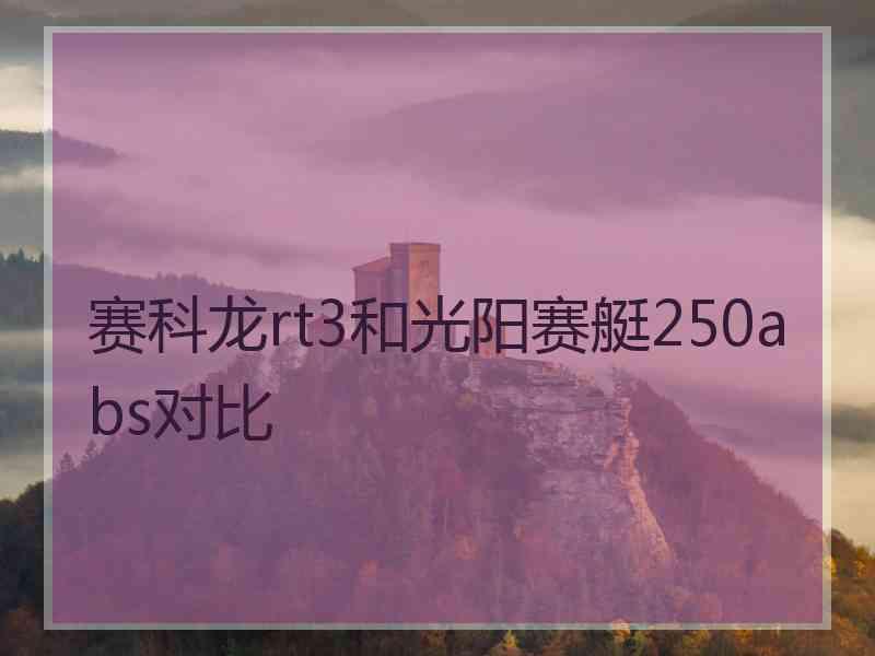 赛科龙rt3和光阳赛艇250abs对比