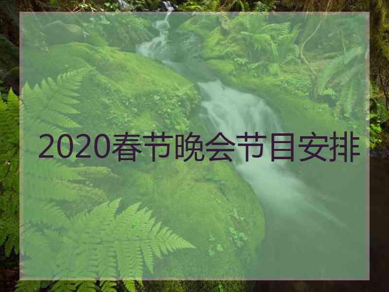 2020春节晚会节目安排