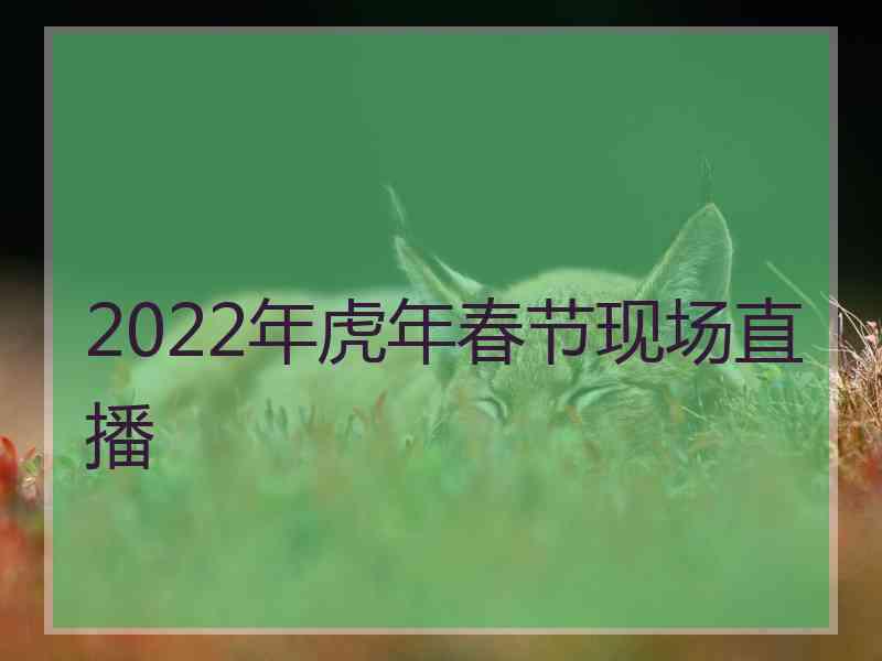 2022年虎年春节现场直播