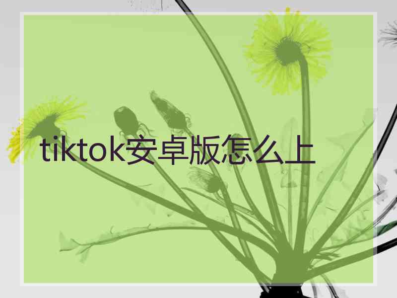 tiktok安卓版怎么上