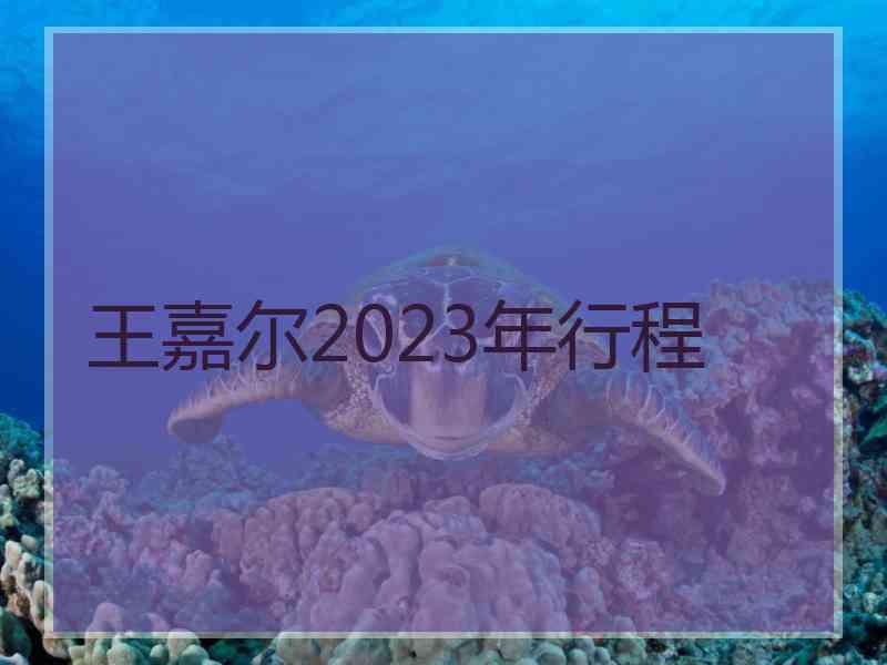 王嘉尔2023年行程