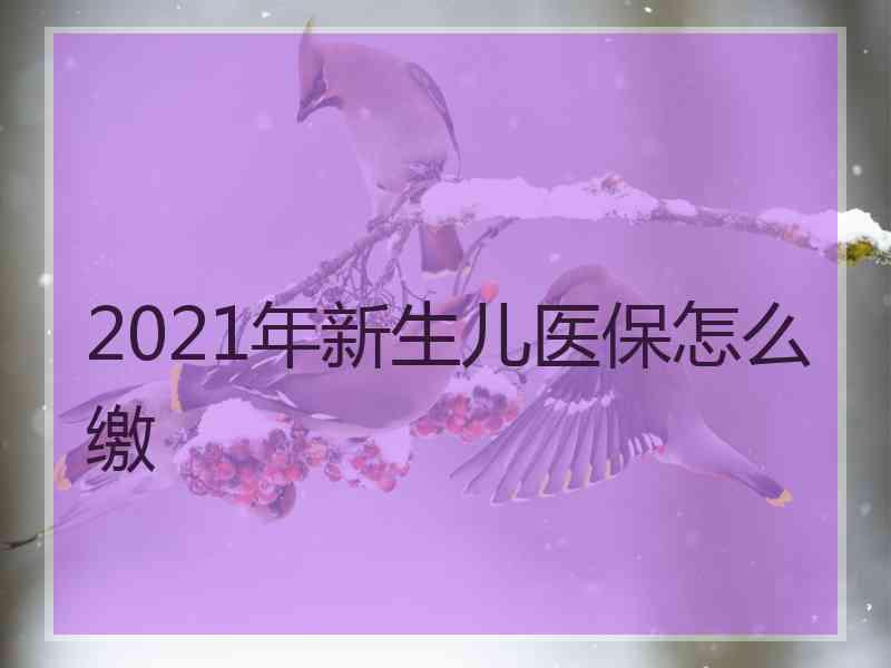 2021年新生儿医保怎么缴