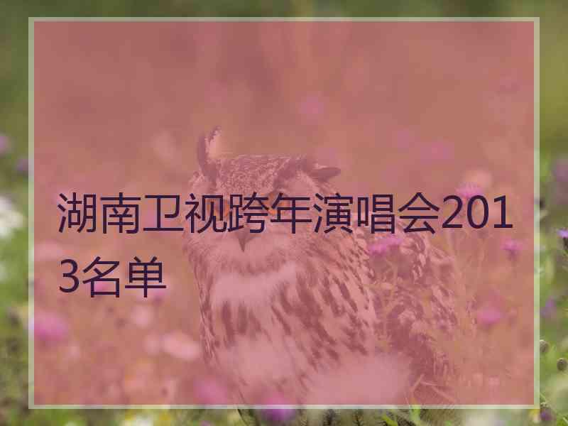 湖南卫视跨年演唱会2013名单