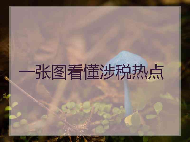 一张图看懂涉税热点