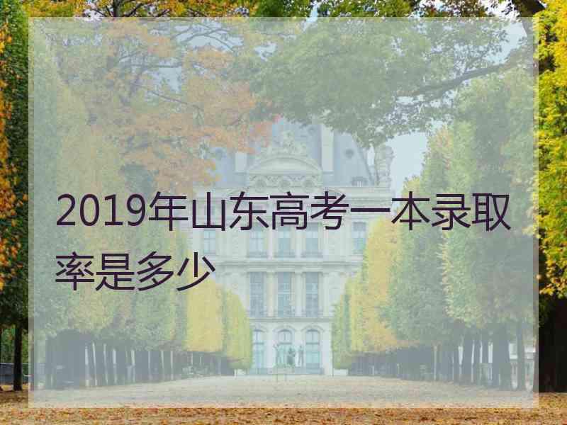 2019年山东高考一本录取率是多少