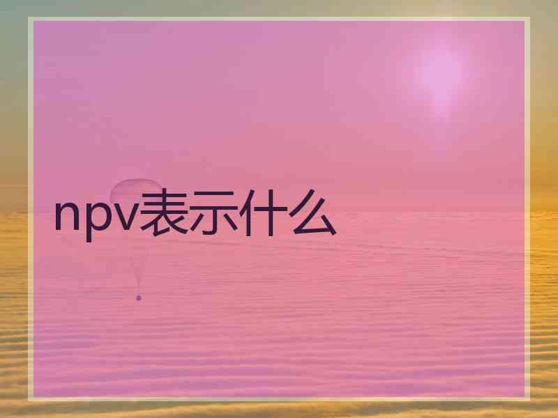 npv表示什么