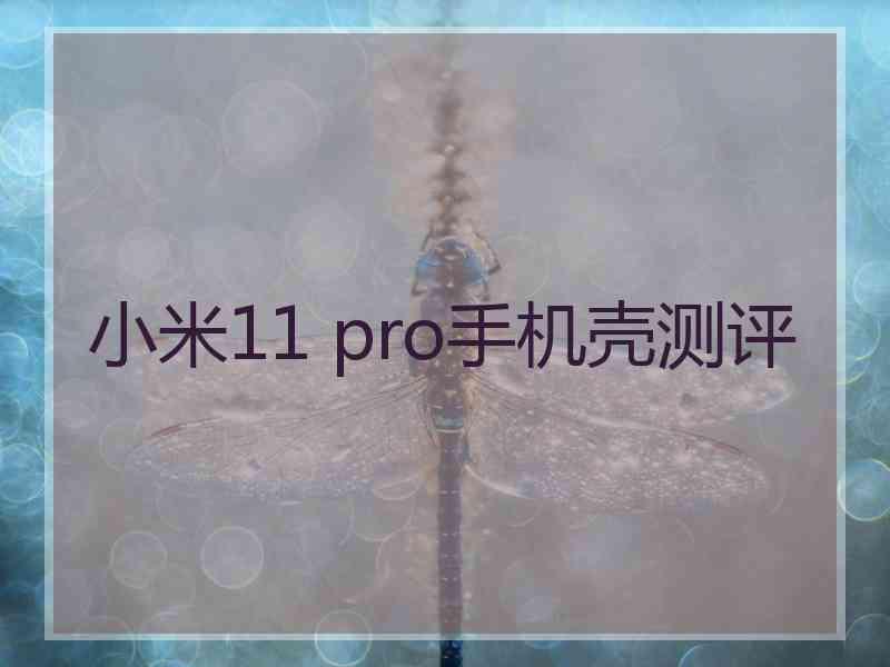 小米11 pro手机壳测评