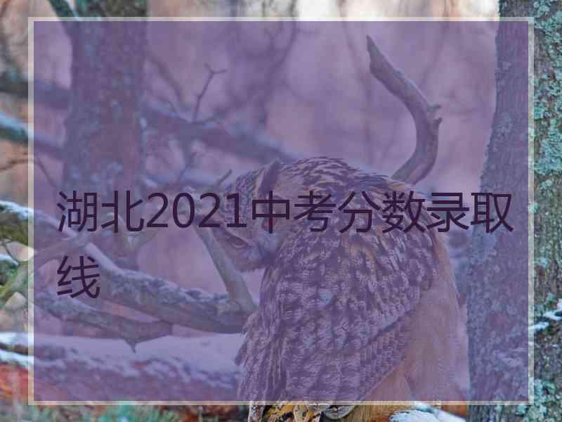 湖北2021中考分数录取线