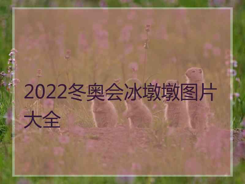 2022冬奥会冰墩墩图片大全