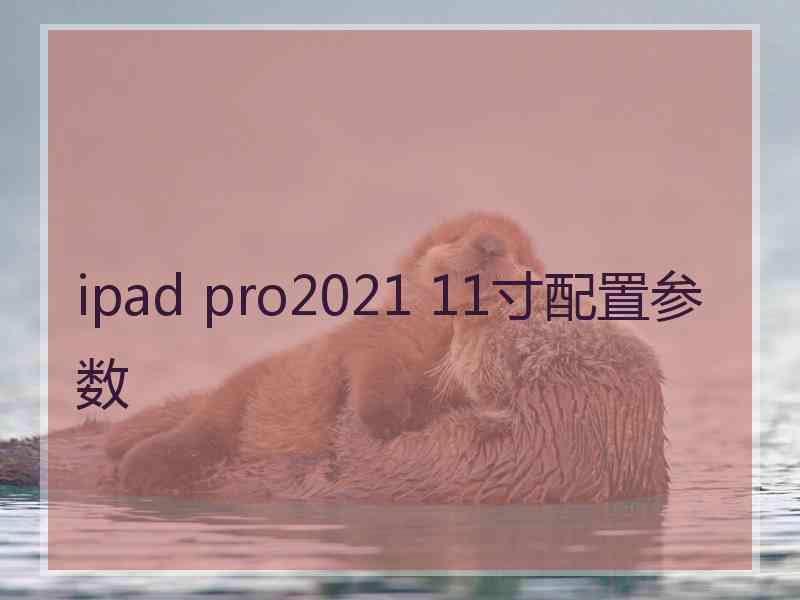 ipad pro2021 11寸配置参数