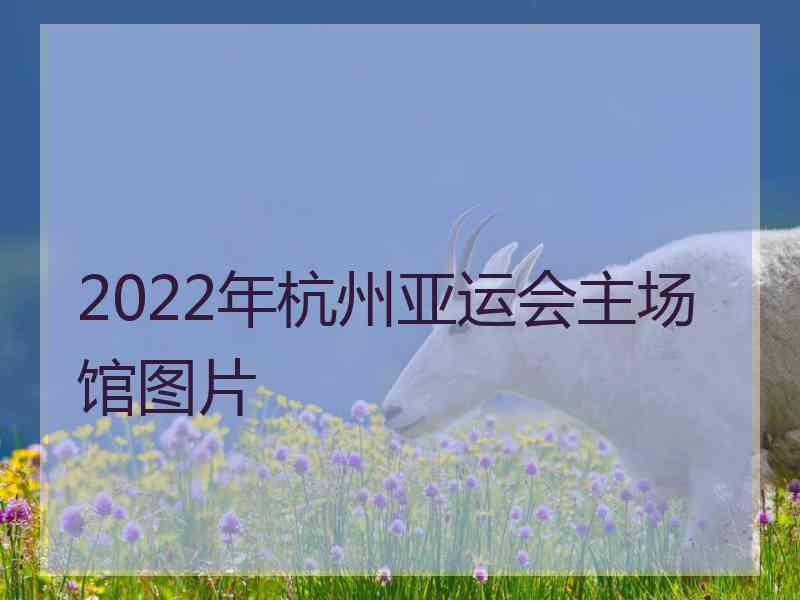 2022年杭州亚运会主场馆图片