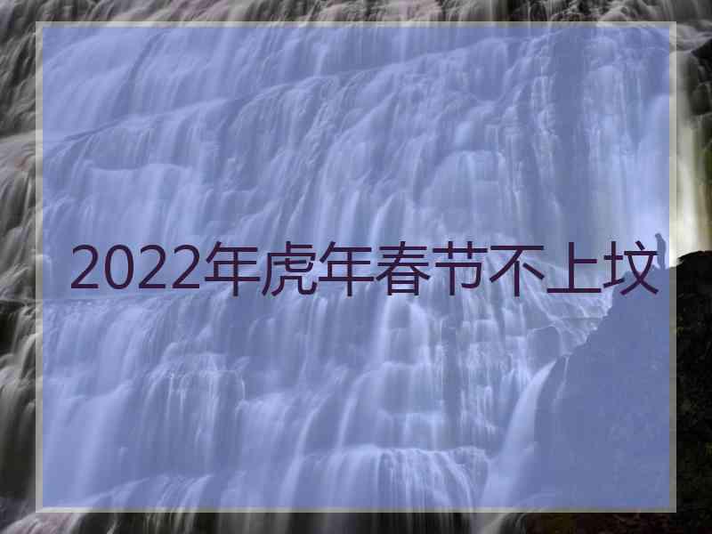 2022年虎年春节不上坟