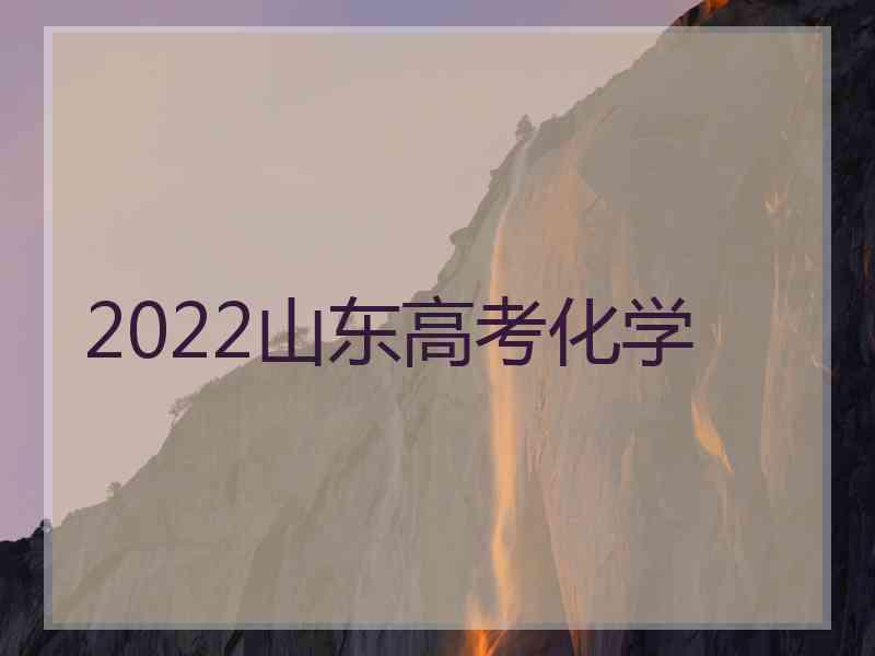 2022山东高考化学